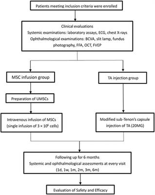 Comparative Study of a Modified Sub-Tenon’s Capsule Injection of Triamcinolone Acetonide and the Intravenous Infusion of Umbilical Cord Mesenchymal Stem Cells in Retinitis Pigmentosa Combined With Macular Edema